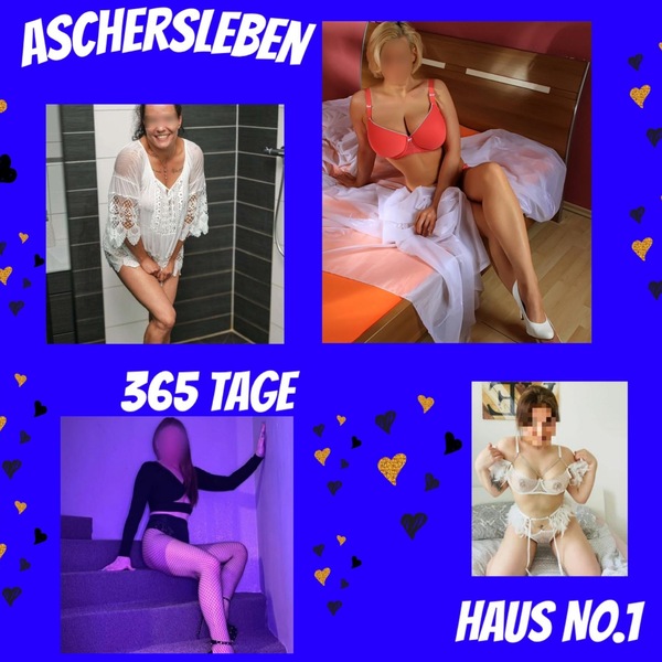 HAUS NO1s Bild